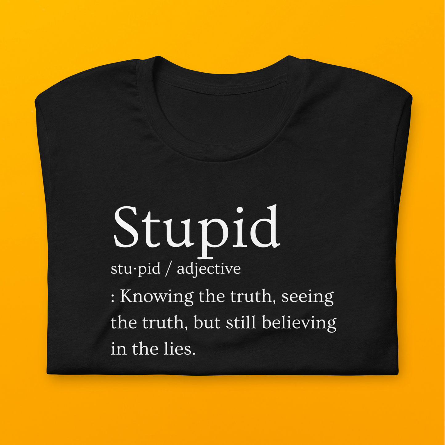 Bold Definition Shirt: Stupid Definition T-Shirt! Truth Seeker, Lie Believer! | Unisex t-shirt