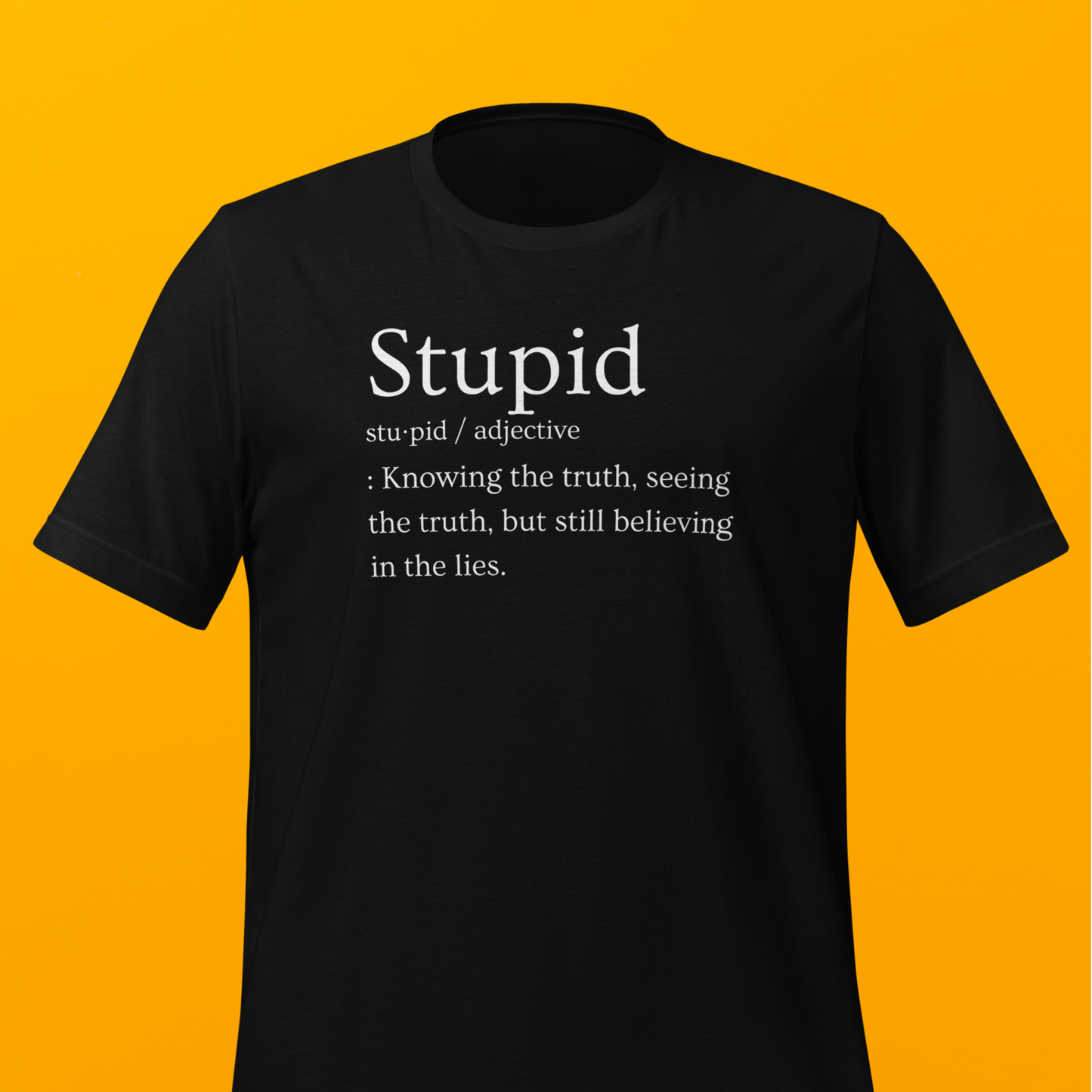 Bold Definition Shirt: Stupid Definition T-Shirt! Truth Seeker, Lie Believer! | Unisex t-shirt