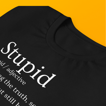 Bold Definition Shirt: Stupid Definition T-Shirt! Truth Seeker, Lie Believer! | Unisex t-shirt